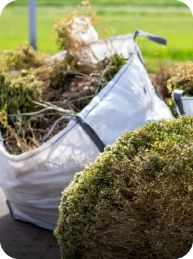 Yard Waste Removal