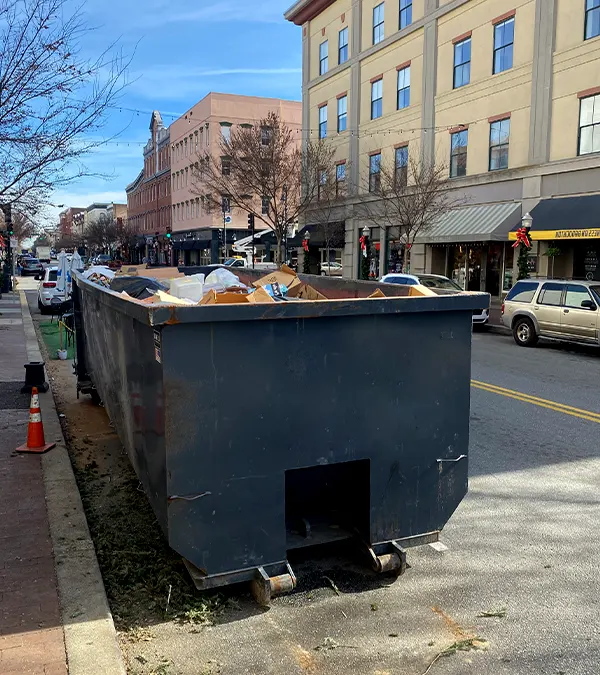 Are There Items That Cannot Be Disposed of in a Rental Dumpster
