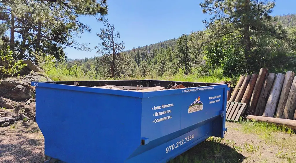 blue dumpster removal for junk removal